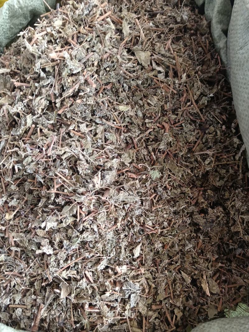 藤茶别名溪黄茶甘露藤茶龙须茶莓茶茶叶白茶