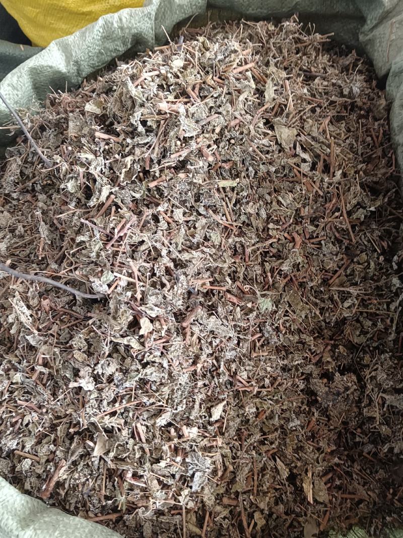 藤茶别名溪黄茶甘露藤茶龙须茶莓茶茶叶白茶