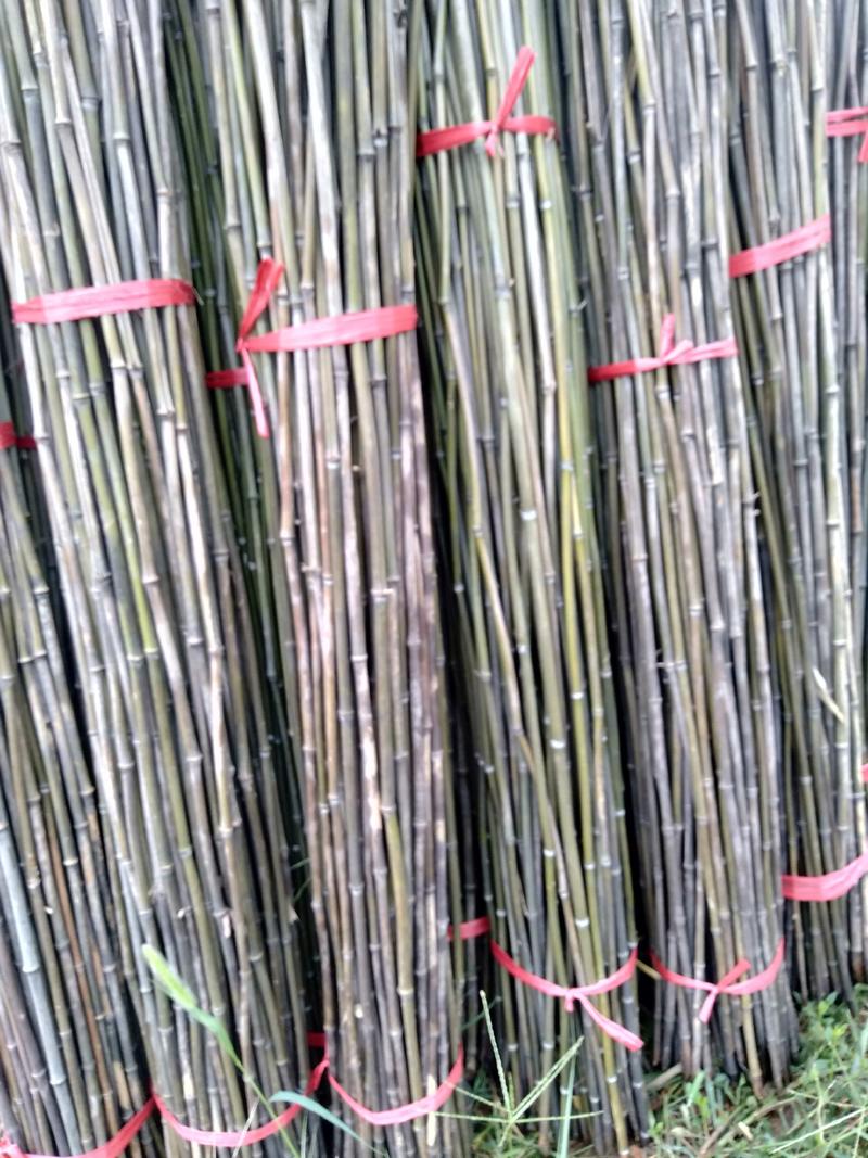 销售各种竹竿:豆角撑杆，冬瓜撑杆，各种果木撑杆，丝瓜竿等