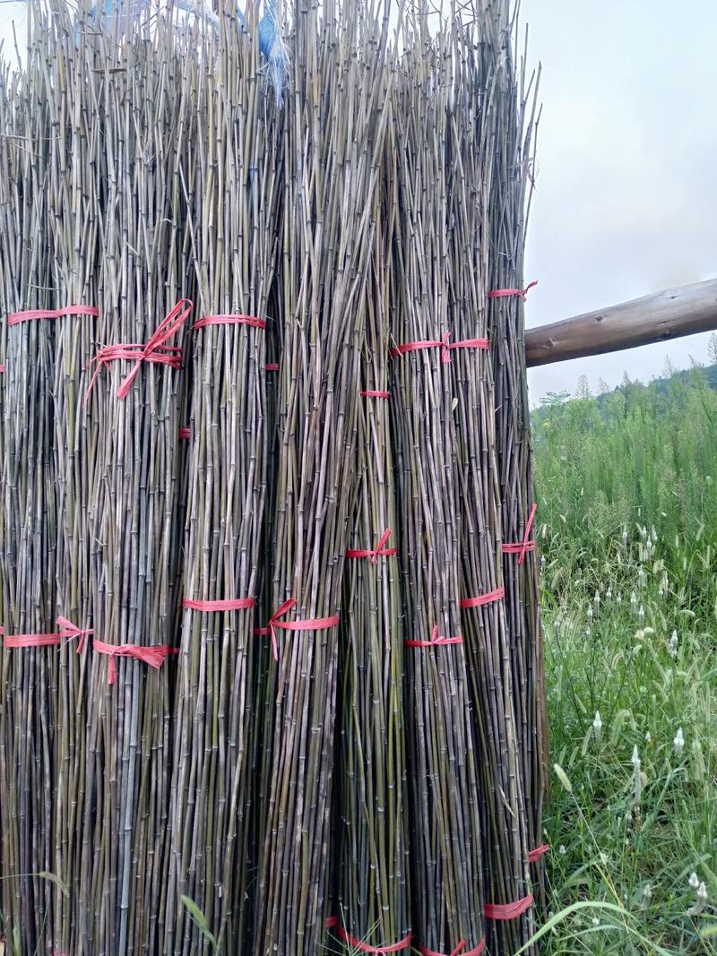 销售各种竹竿:豆角撑杆，冬瓜撑杆，各种果木撑杆，丝瓜竿等