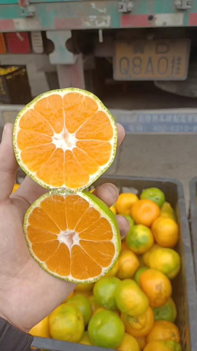 湖南蜜橘大量上市自然黄口感甜水分足质量保证