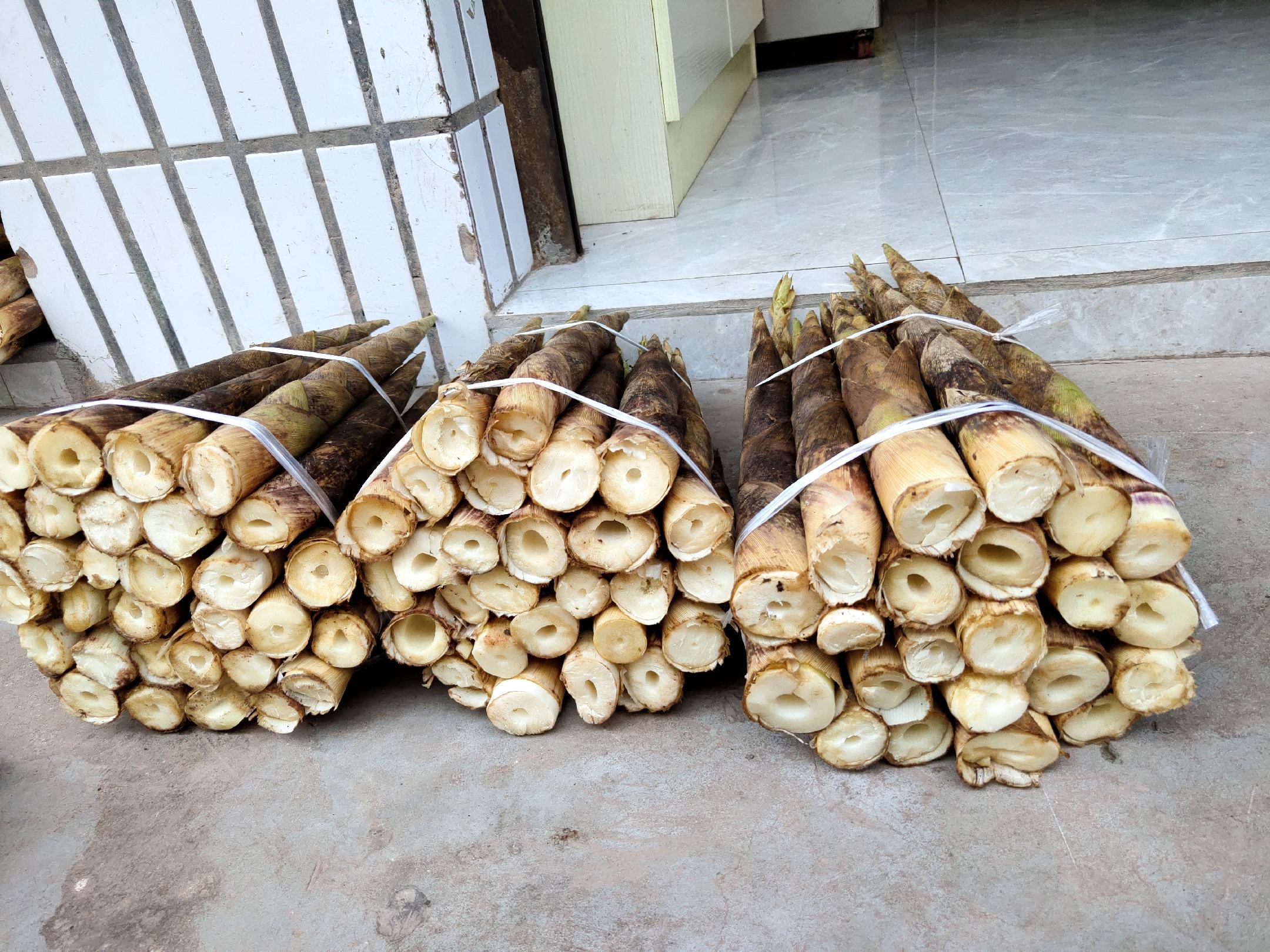 山竹采摘与挑选场景