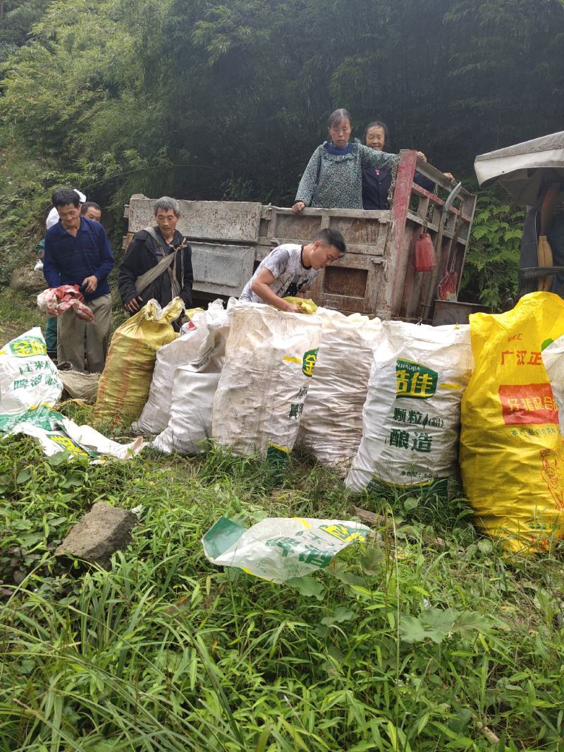 四川屏山县龙华镇么禾笋干产地直供批发零售