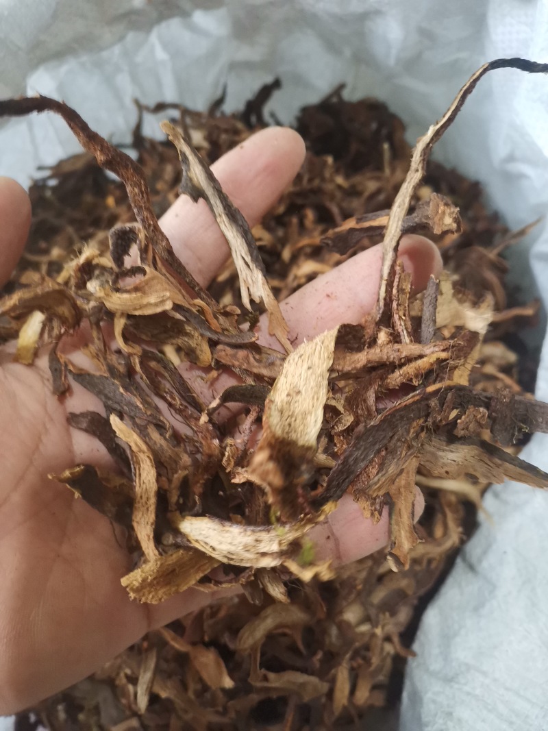 骨碎补正品好货含量高货干无杂