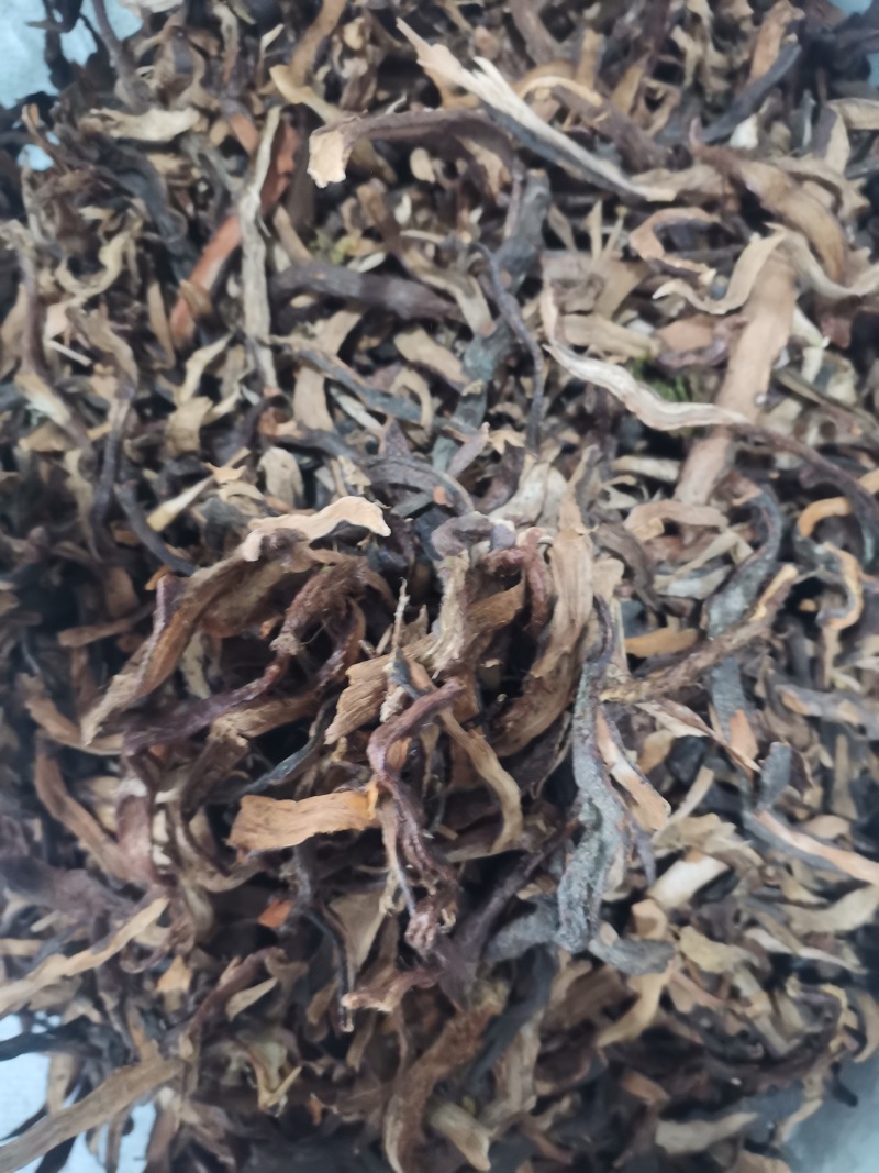 骨碎补正品好货含量高货干无杂