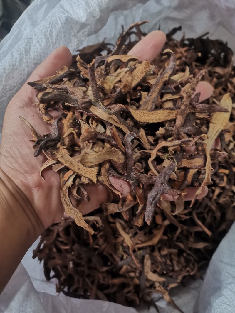 骨碎补正品好货含量高货干无杂