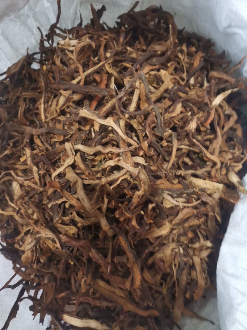 骨碎补正品好货含量高货干无杂