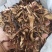 骨碎补正品好货含量高货干无杂