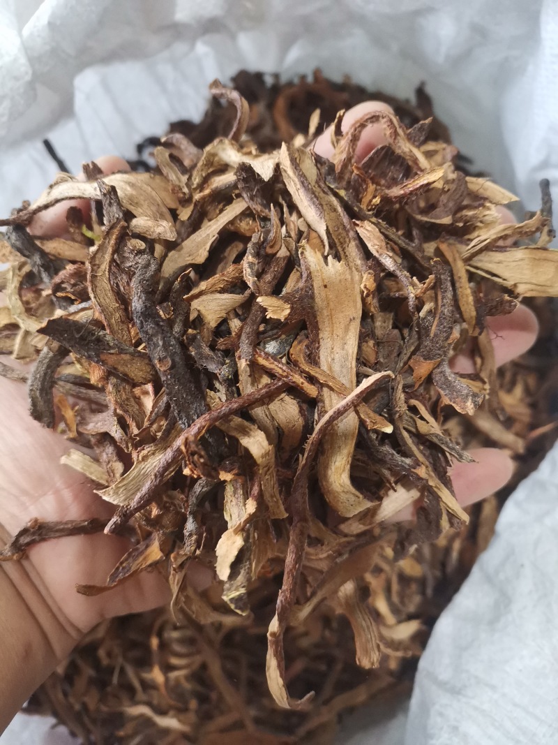 骨碎补正品好货含量高货干无杂