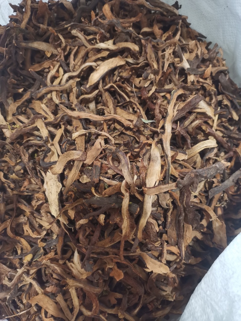 骨碎补正品好货含量高货干无杂