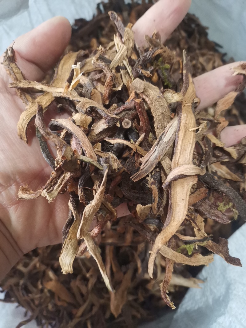 骨碎补正品好货含量高货干无杂
