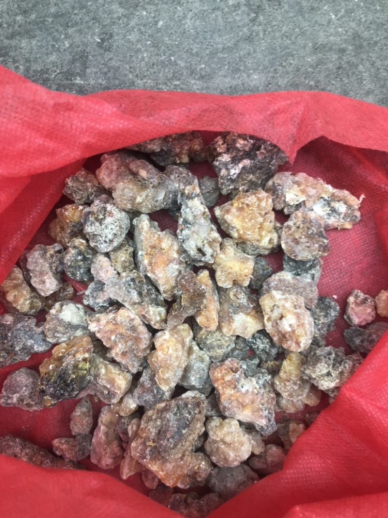 天然林松脂油松脂，云杉脂，精品干货，半干货
