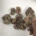 天然林松脂油松脂，云杉脂，精品干货，半干货