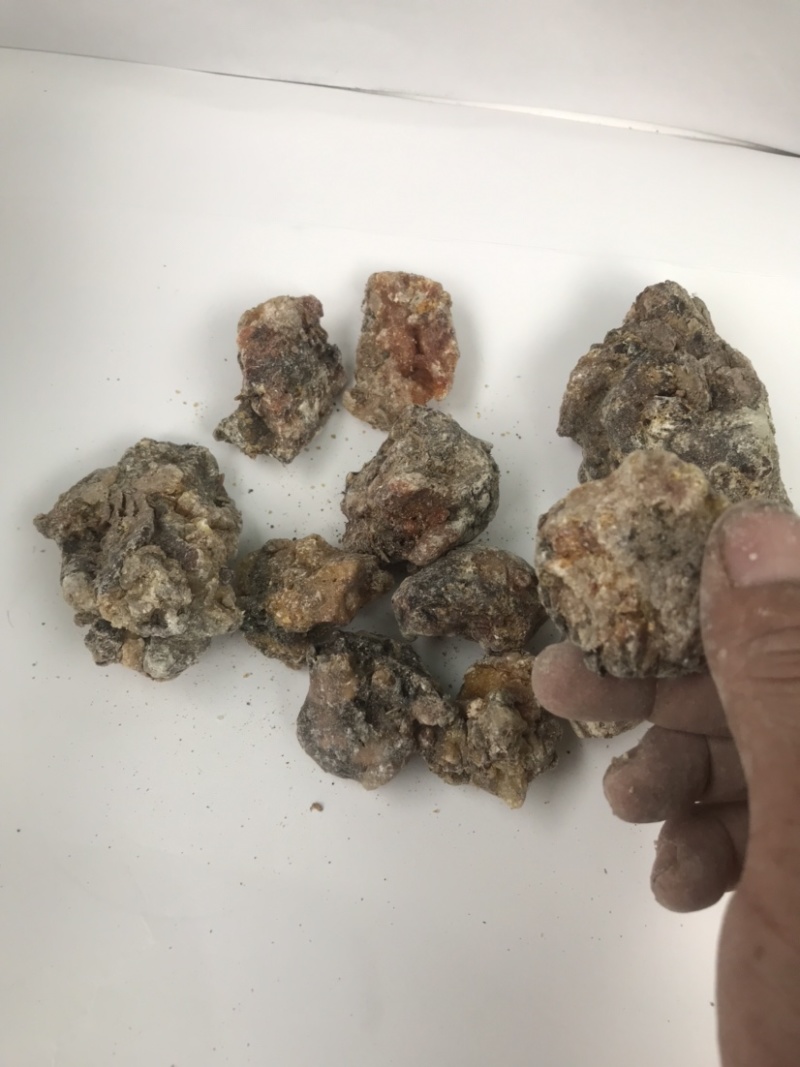 天然林松脂油松脂，云杉脂，精品干货，半干货