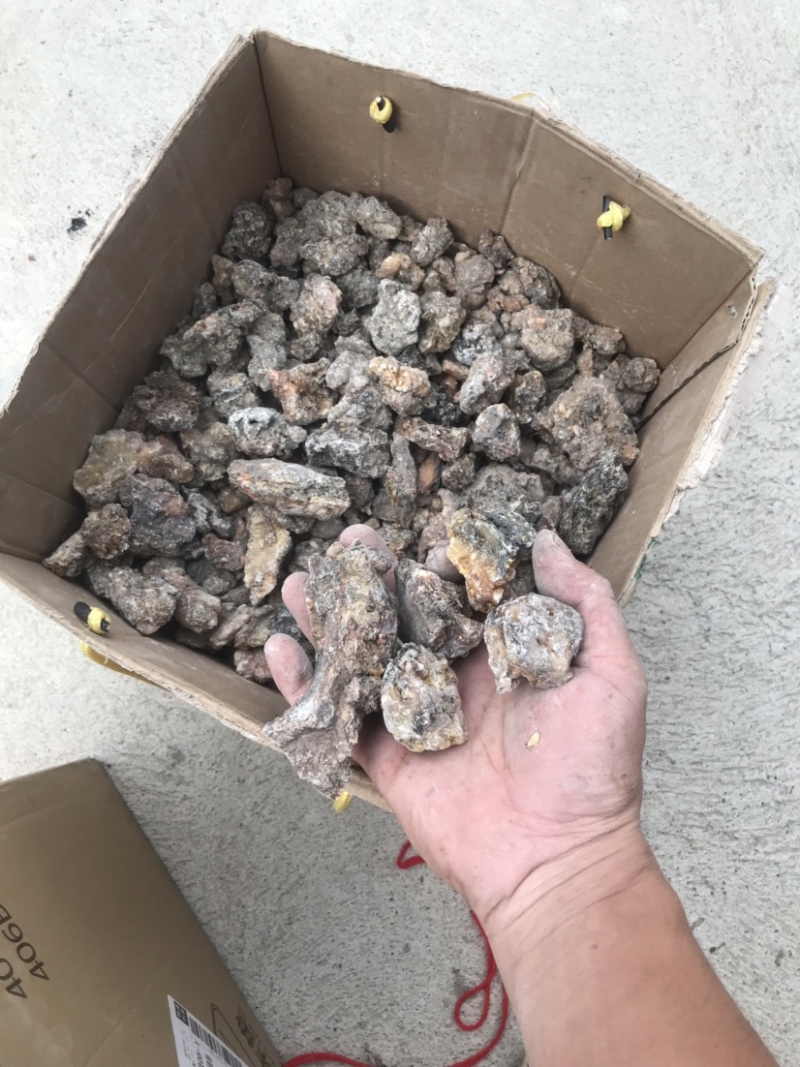 天然林松脂油松脂，云杉脂，精品干货，半干货