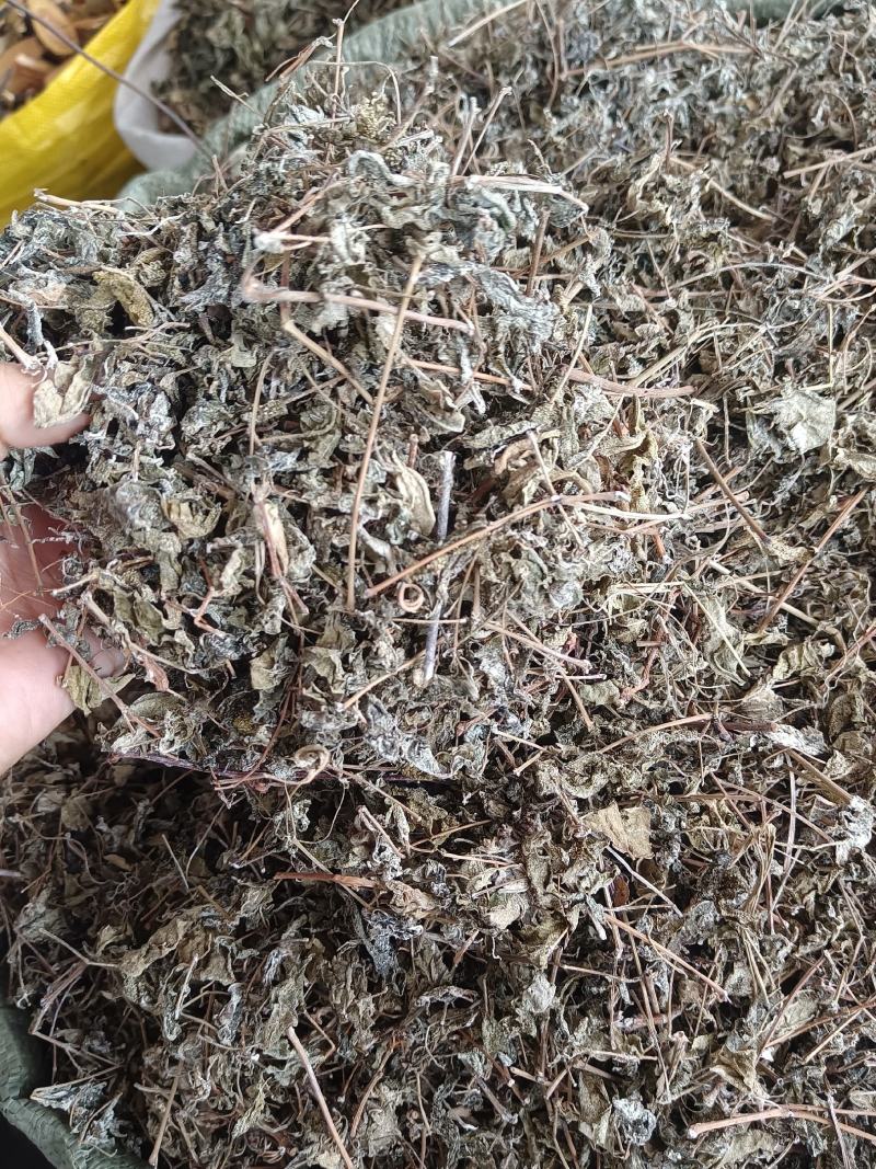藤茶别名白茶溪黄茶甘露藤茶龙须茶莓茶茶叶