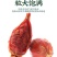 中药材栀子生栀子炒栀子焦栀子一手货源