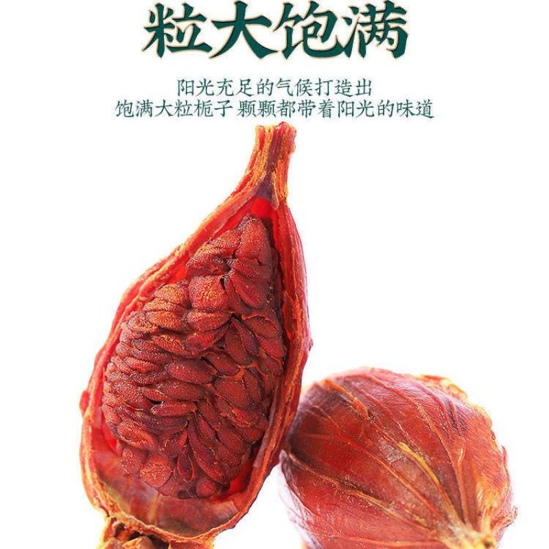 中药材栀子生栀子炒栀子焦栀子一手货源