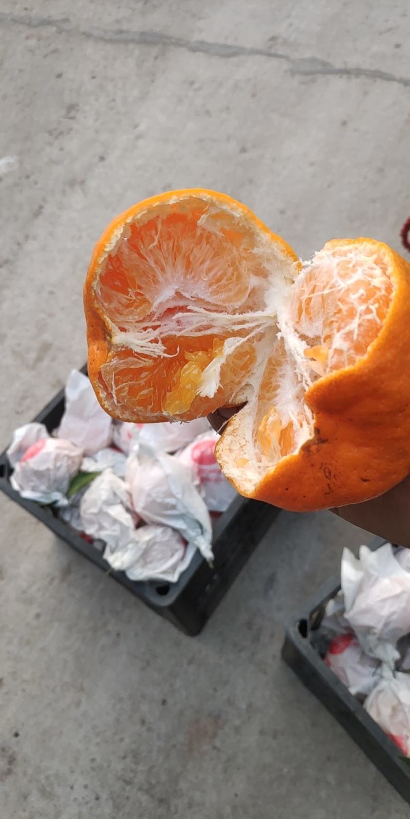 又大又甜的柑桔