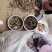 扫把菌，珊瑚菌，鹿茸菌