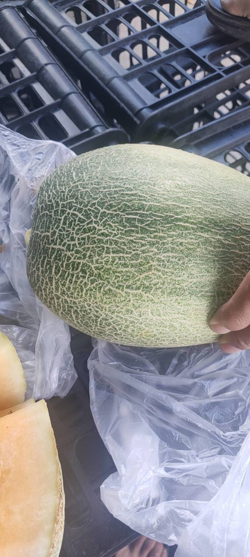 晓蜜25