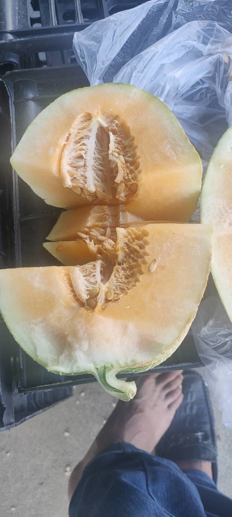 晓蜜25