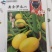 鼎牌黄金笋瓜特早熟南瓜种子口感似冬笋专吃嫩瓜