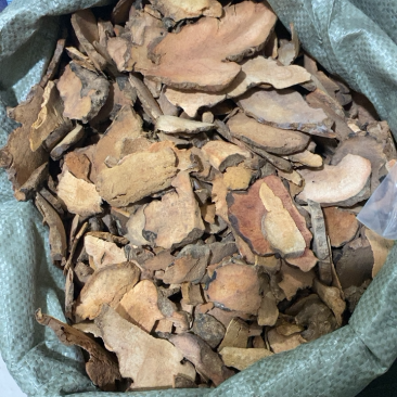 土茯苓红色土茯苓供应各种中药材冷背货