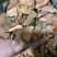 土茯苓红色土茯苓供应各种中药材冷背货