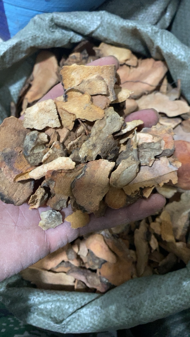 土茯苓红色土茯苓供应各种中药材冷背货