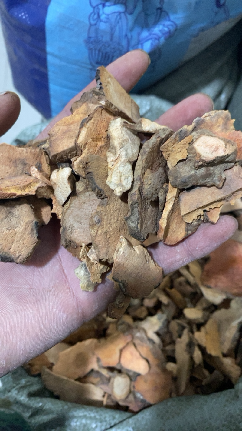 土茯苓红色土茯苓供应各种中药材冷背货