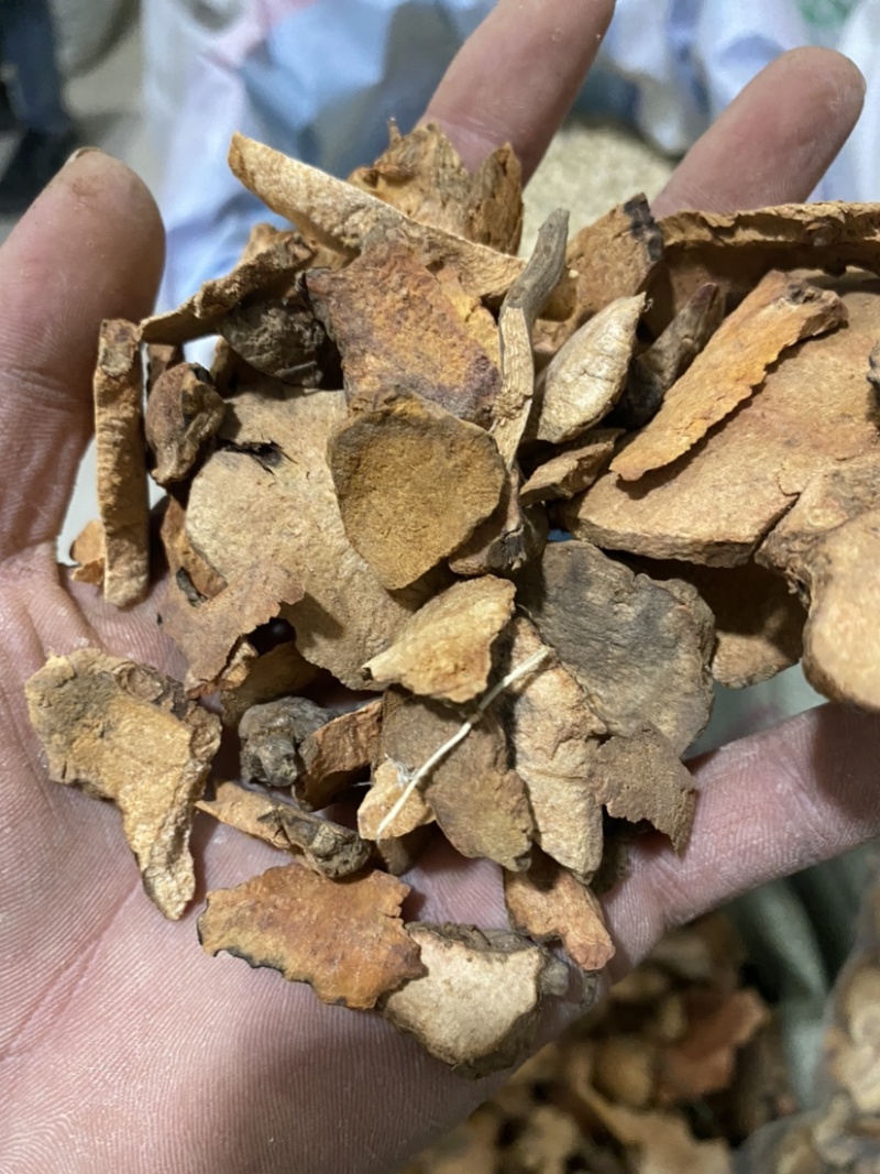 土茯苓红色土茯苓供应各种中药材冷背货
