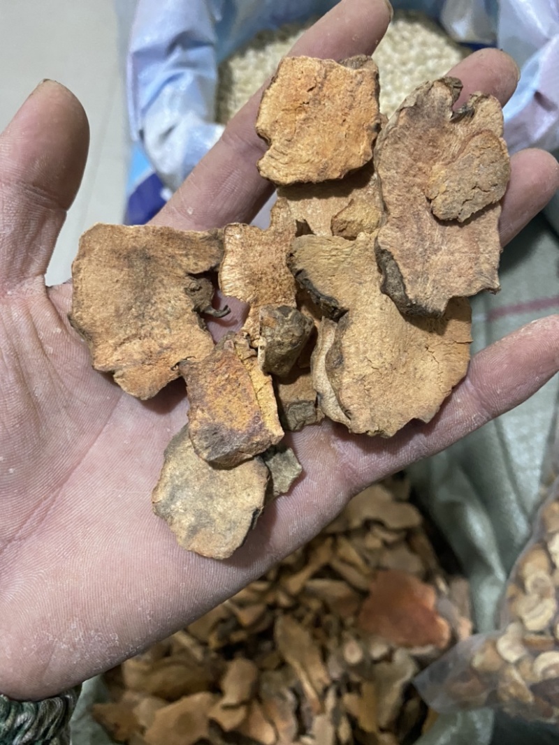 土茯苓红色土茯苓供应各种中药材冷背货