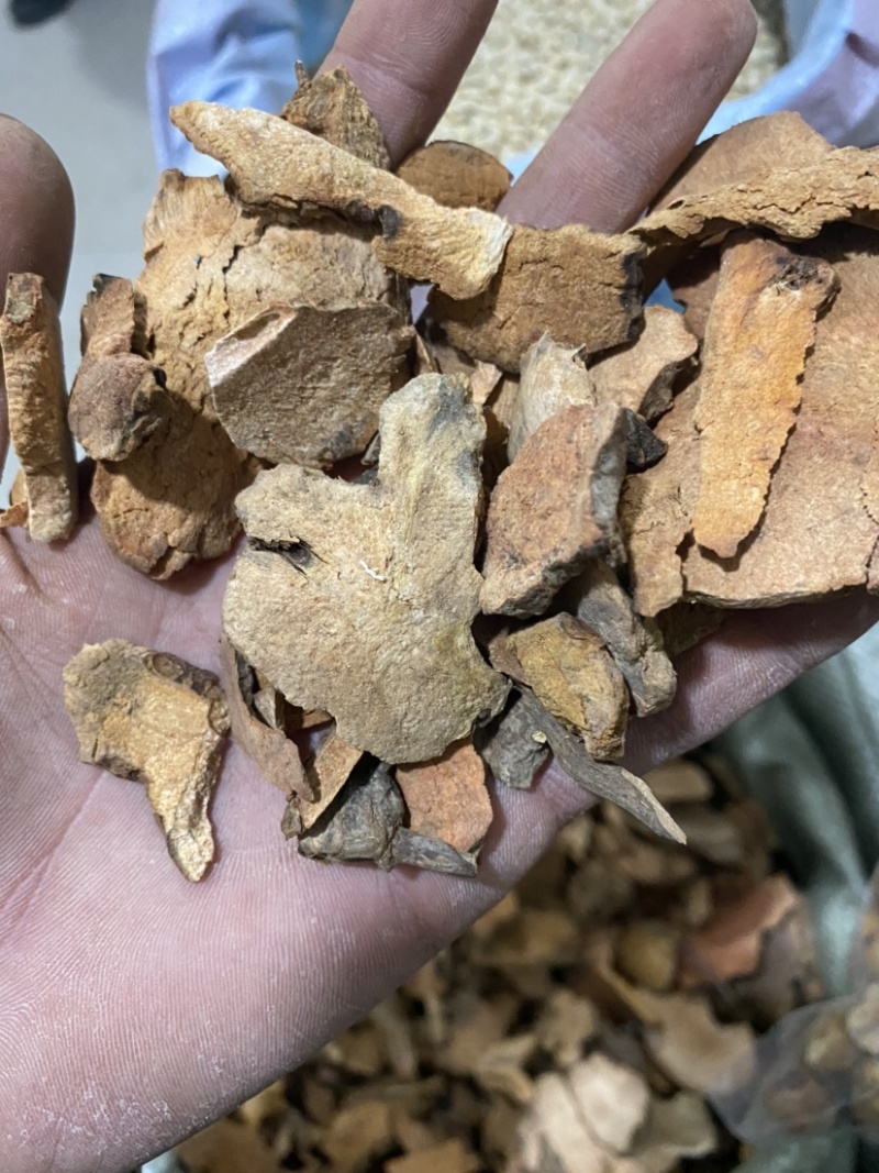 土茯苓红色土茯苓供应各种中药材冷背货