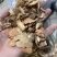 土茯苓红色土茯苓供应各种中药材冷背货