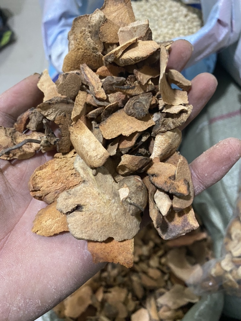 土茯苓红色土茯苓供应各种中药材冷背货