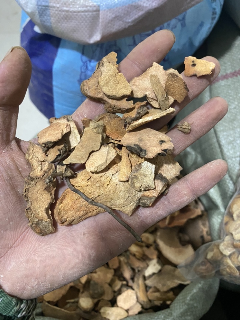 土茯苓红色土茯苓供应各种中药材冷背货