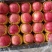 山东红富士苹果🍎上市，口感脆甜，品质保障，欢迎新老客户采购