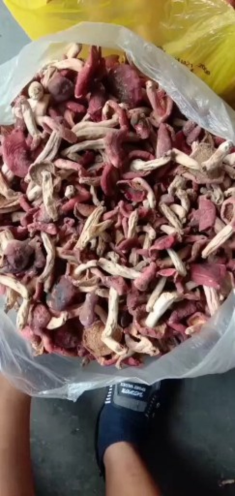 野生红菇，舌尖上的美食，传统的烹饪方法，是滋补的好食材