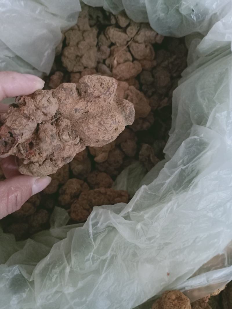 朱砂莲，正品水洗朱砂莲，质量保证！经营各种中药材！