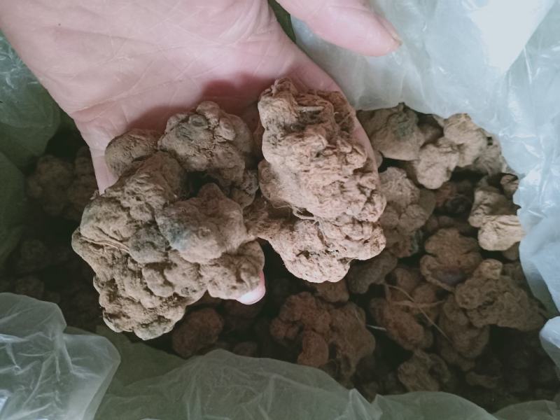 朱砂莲，正品水洗朱砂莲，质量保证！经营各种中药材！