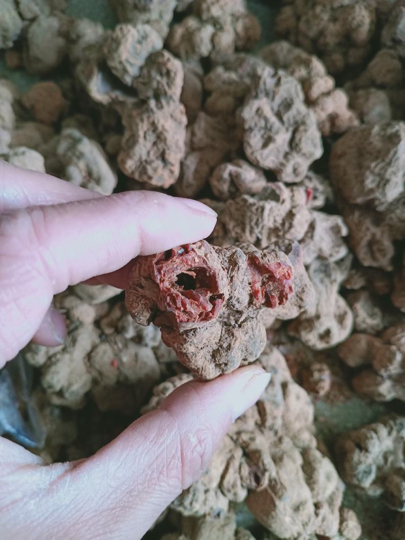 朱砂莲，正品水洗朱砂莲，质量保证！经营各种中药材！