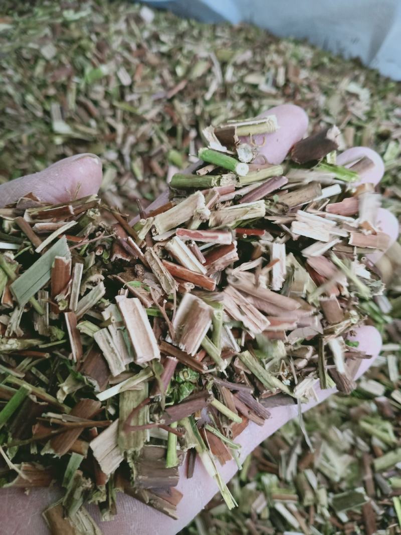 赶黄草，扯跟菜干净无杂质量保证！量大从优！