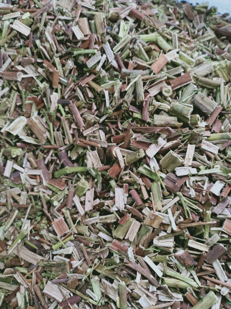 赶黄草，扯跟菜干净无杂质量保证！量大从优！