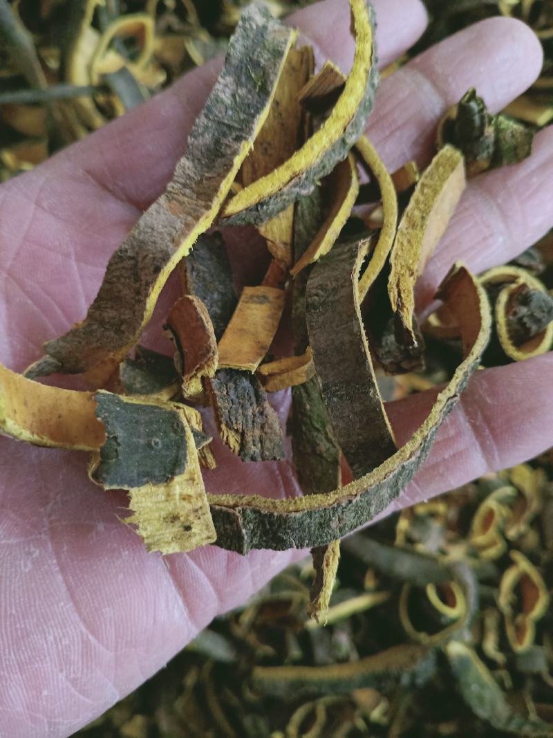 黄柏，无硫正品川黄柏切丝质量保证，经营各种中药材！