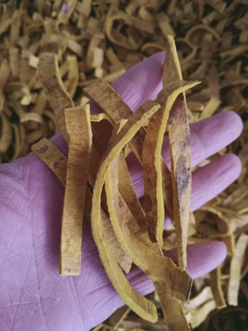 黄柏，无硫正品川黄柏切丝质量保证，经营各种中药材！