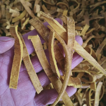 黄柏，无硫正品川黄柏切丝质量保证，经营各种中药材！
