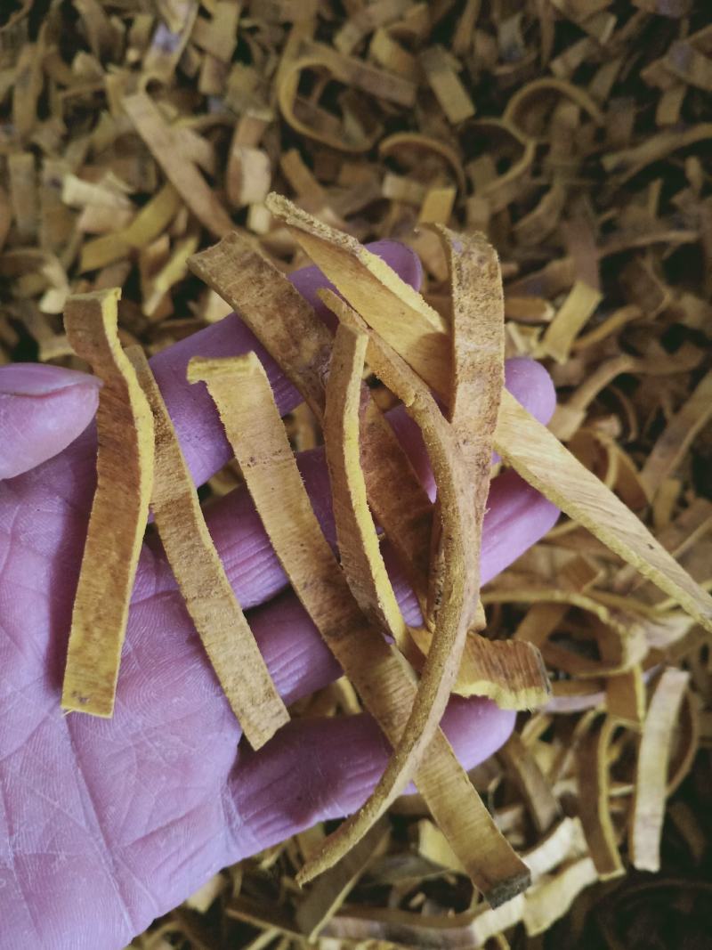黄柏，无硫正品川黄柏切丝质量保证，经营各种中药材！