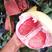 四川三红柚红心柚万亩基地一手货源，以质量求生存，价比市场