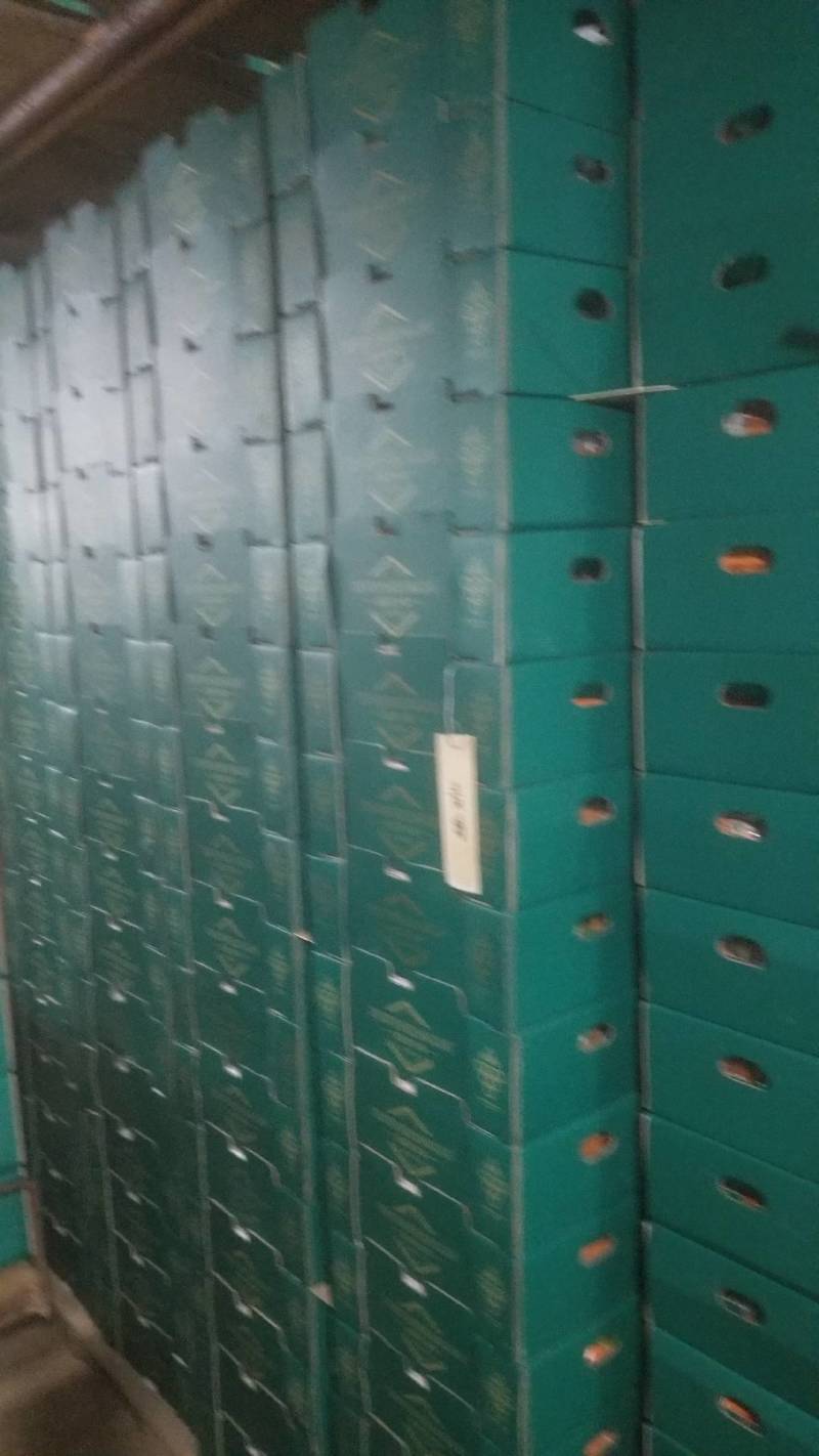 香印、河北省石家庄市辛集市冷库存礼盒装阳光玫瑰、产地直购